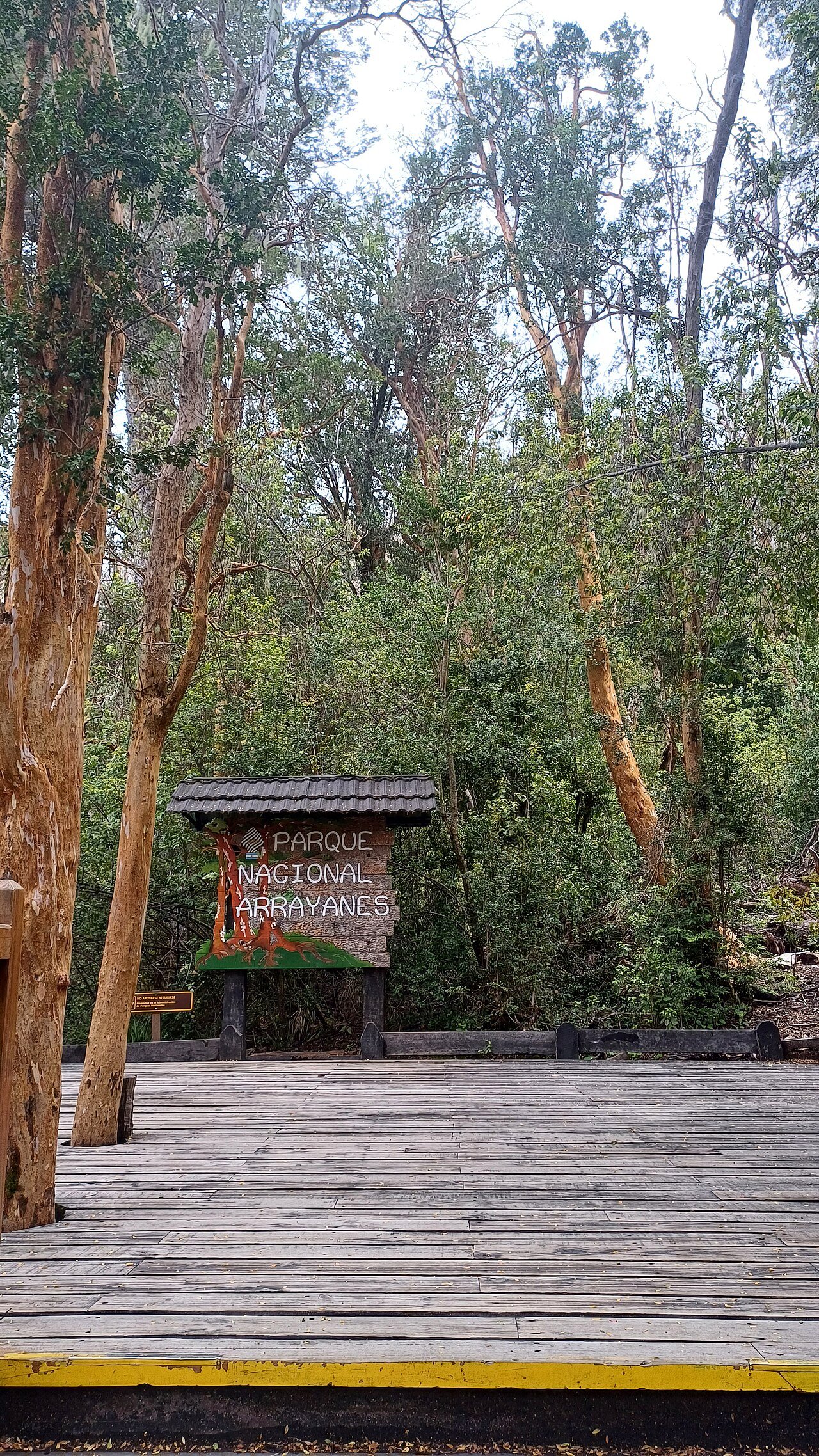 Cerro Bayo e Villa La Angostura