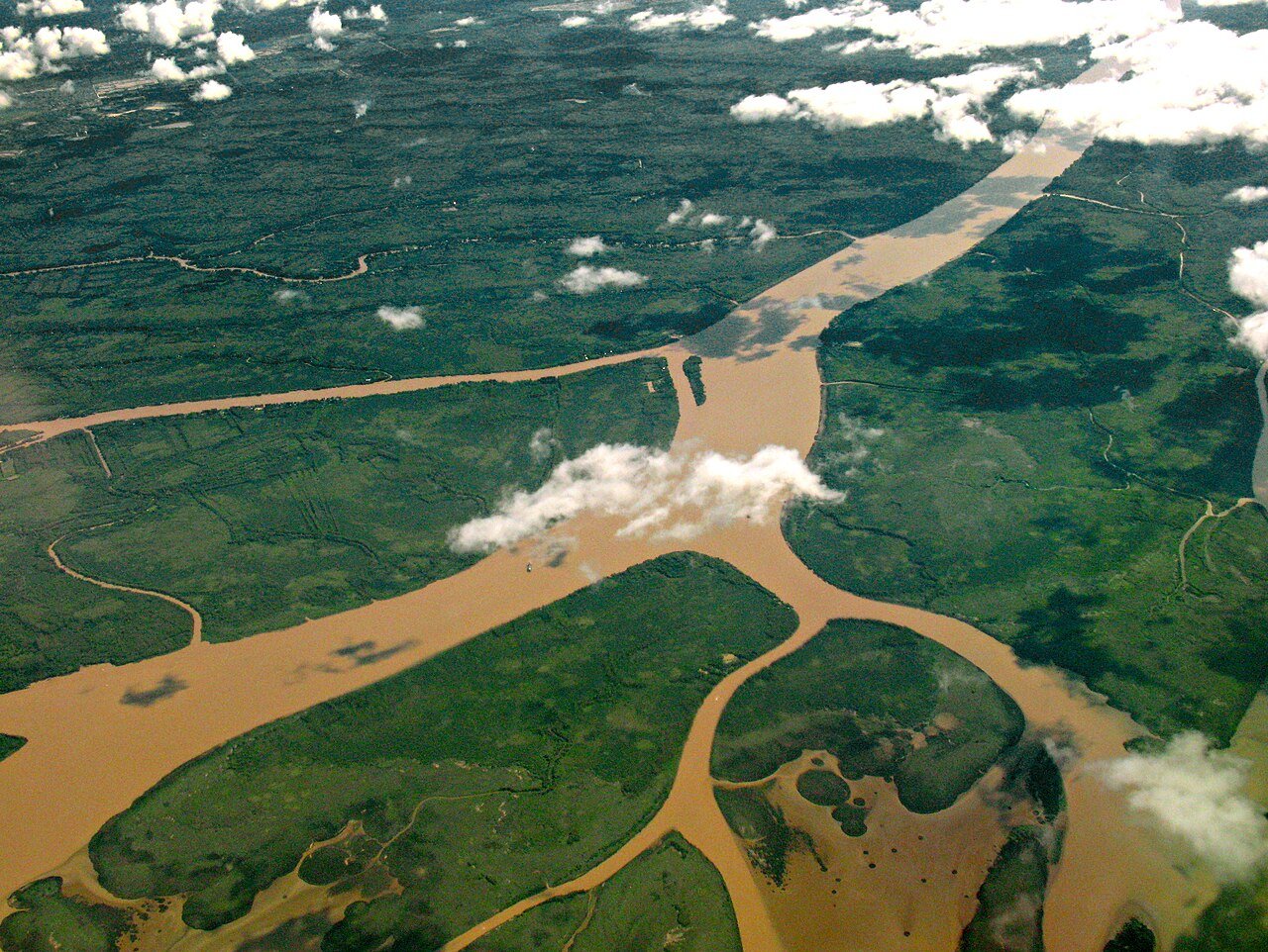 🚢 Tigre Tour — Delta do Paraná