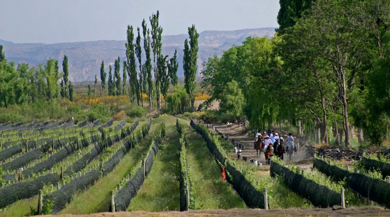Bodegas com Almoço Gourmet