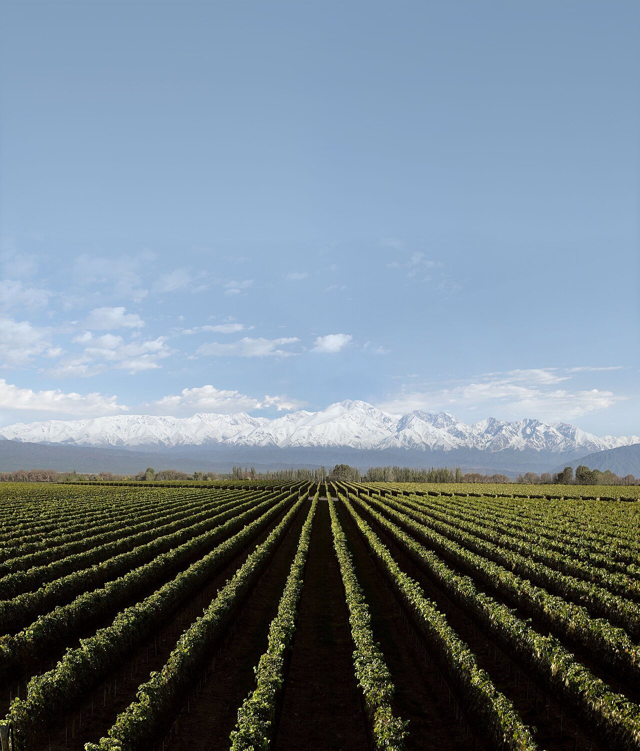 Valle de Uco