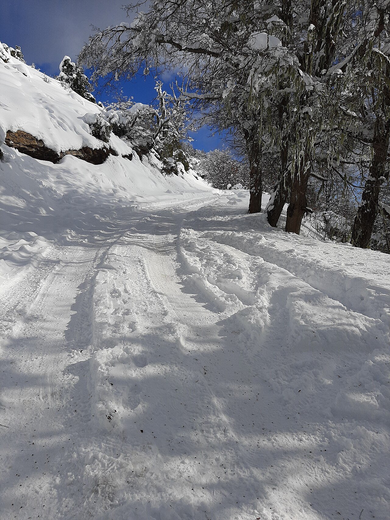 Winter Park — Cerro Otto